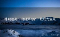 扑朔迷离：向日葵app下载成为焦点