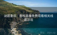 谜题重现：青柠直播免费观看相关线索浮现