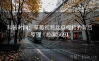 科普时间：草莓视频丝瓜视频的背后原理 · 档案5691