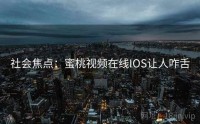 社会焦点：蜜桃视频在线IOS让人咋舌