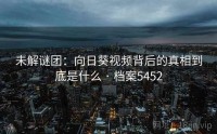 未解谜团：向日葵视频背后的真相到底是什么 · 档案5452