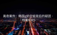 离奇案件：韩国g奶空姐背后的疑团 · 档案6385
