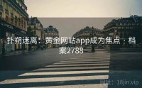 扑朔迷离：黄金网站app成为焦点 · 档案2788