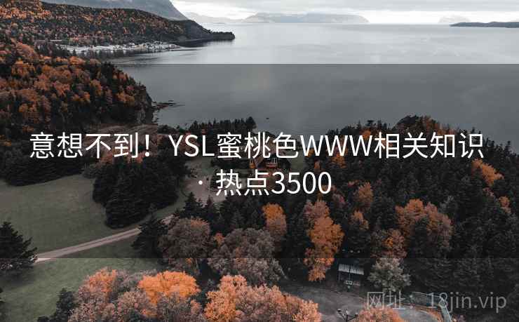 意想不到！YSL蜜桃色WWW相关知识 · 热点3500
