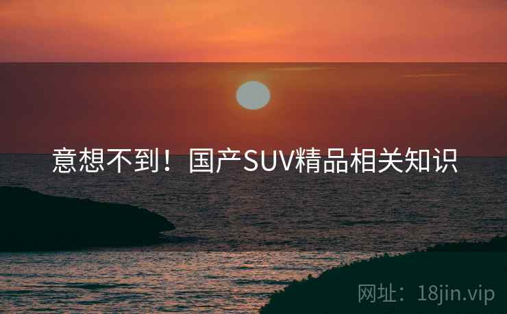 意想不到!国产SUV精品相关知识 意想不到!国产SUV精品相关知识