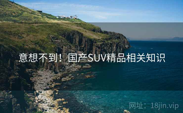 意想不到!国产SUV精品相关知识 意想不到!国产SUV精品相关知识